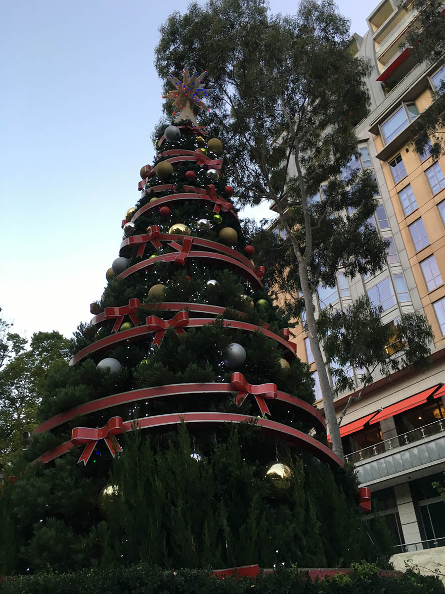 Big Christmas tree