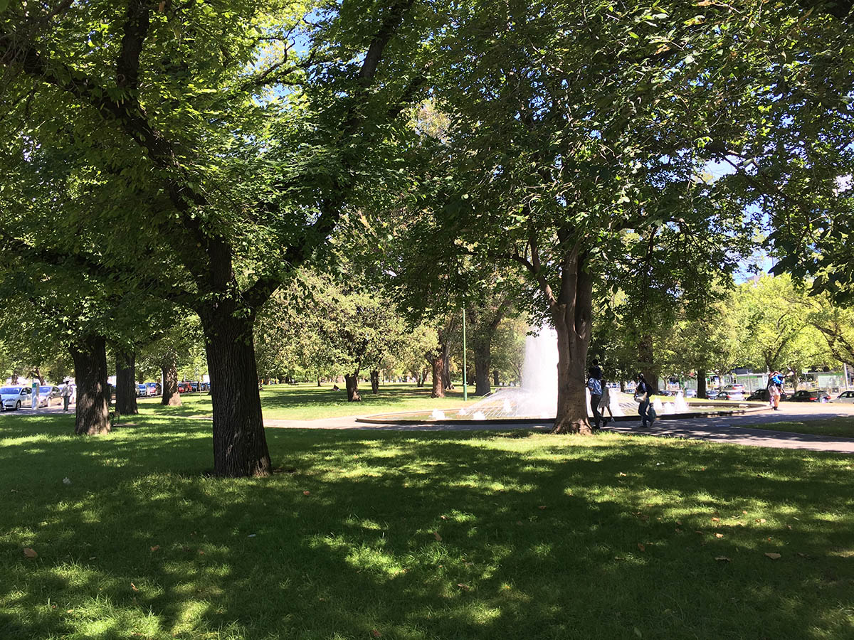 Trees and fountain